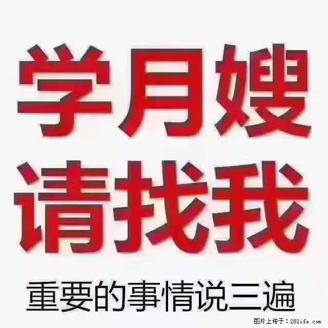 为什么要学习月嫂,育婴师? - 其他广告 - 广告专区 - 玉树分类信息 - 玉树28生活网 ys.28life.com