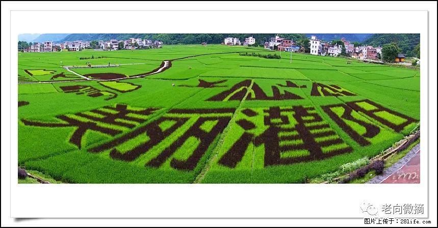 【春天，广西桂林灌阳县向您发出邀请！】开篇 - 游山玩水 - 玉树生活社区 - 玉树28生活网 ys.28life.com