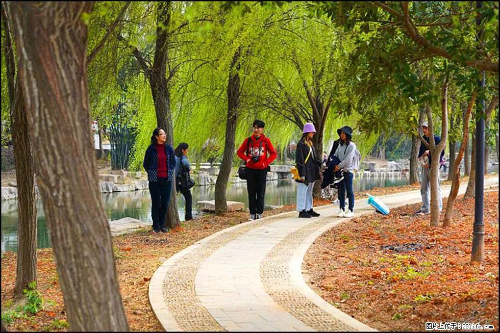 【春天，广西桂林灌阳县向您发出邀请！】江口老街又逢春 - 游山玩水 - 玉树生活社区 - 玉树28生活网 ys.28life.com