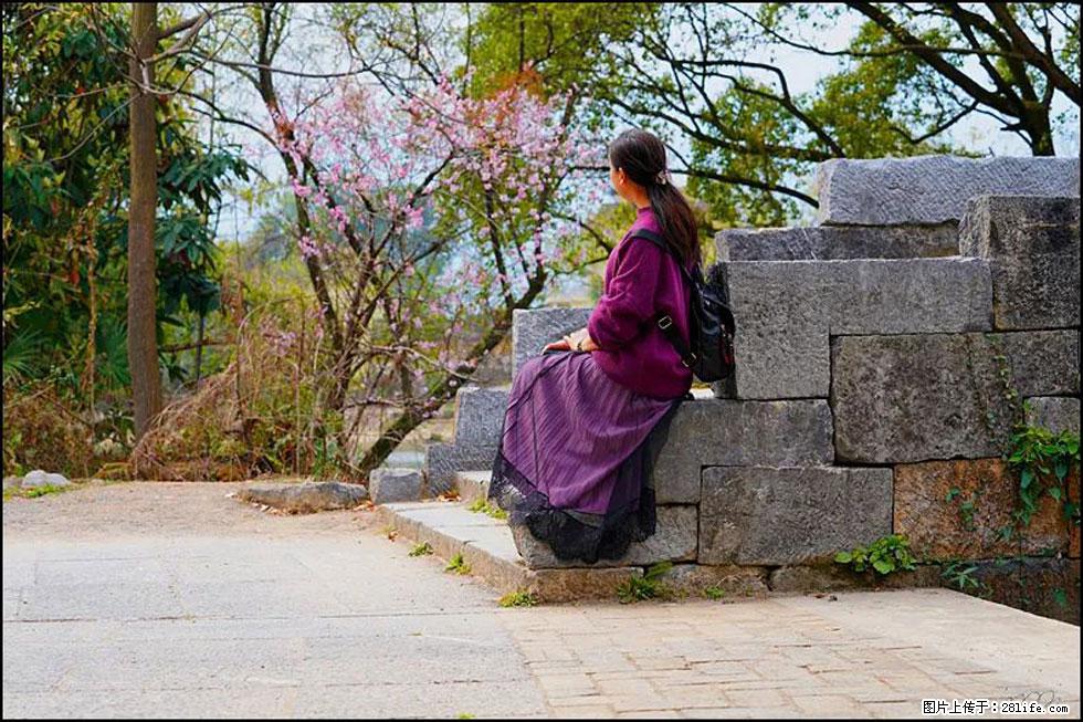 【春天，广西桂林灌阳县向您发出邀请！】江口老街又逢春 - 游山玩水 - 玉树生活社区 - 玉树28生活网 ys.28life.com