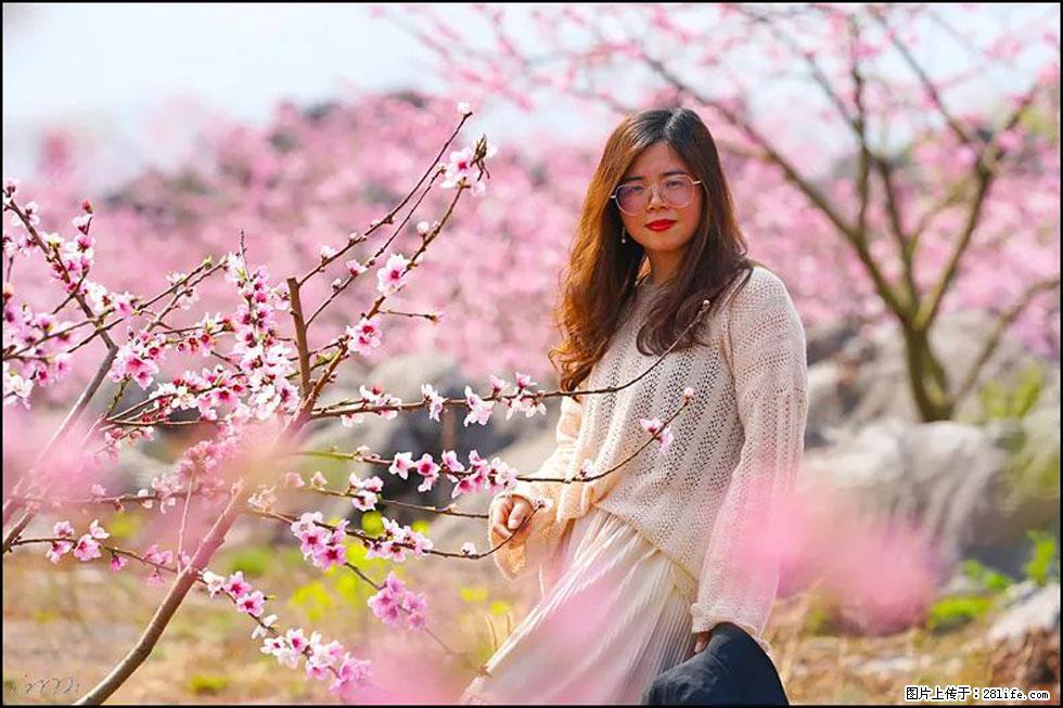【春天，广西桂林灌阳县向您发出邀请！】望月岭上桃花开 - 游山玩水 - 玉树生活社区 - 玉树28生活网 ys.28life.com