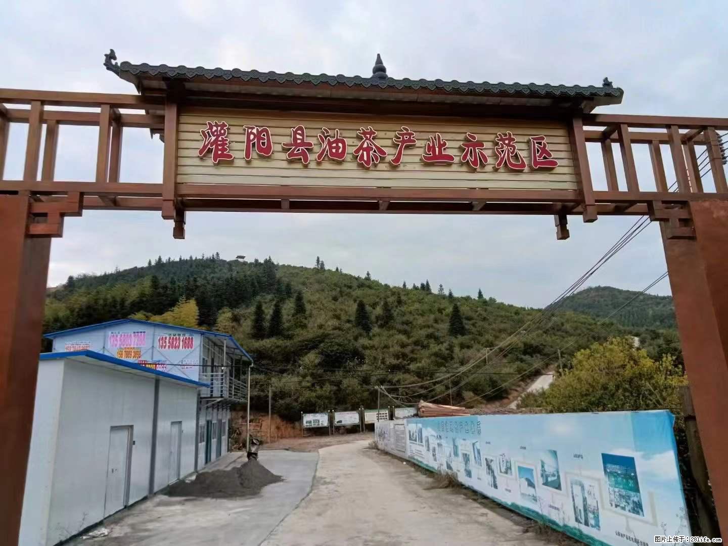 【灌阳县油茶产业示范区】一个有着充实的精神生活的人,对待身外之物自会有一种淡泊的态度 - 美食天地 - 玉树生活社区 - 玉树28生活网 ys.28life.com