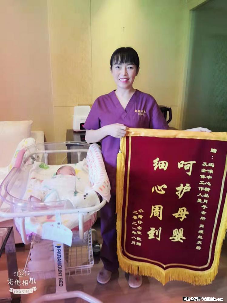 上海高端月子会所招新手月嫂，零基础带教，包吃住 - 职场交流 - 玉树生活社区 - 玉树28生活网 ys.28life.com