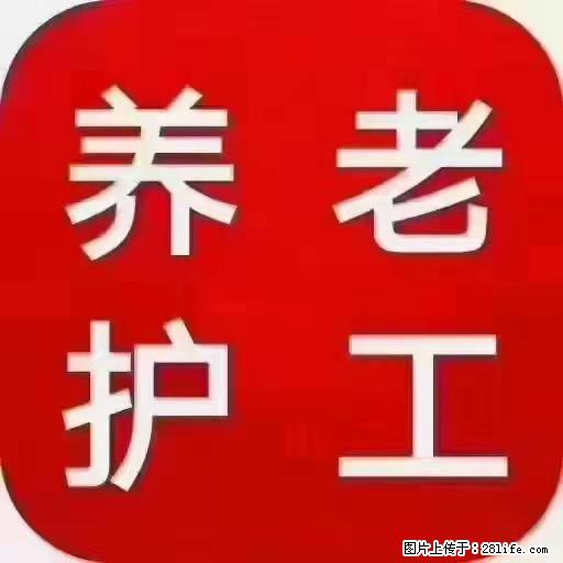 上海国企养老院，星级酒店环境，招聘养老护工 - 职场交流 - 玉树生活社区 - 玉树28生活网 ys.28life.com