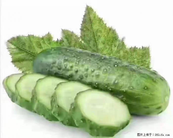 【生活小常识】吃黄瓜的好处 - 生活百科 - 玉树生活社区 - 玉树28生活网 ys.28life.com
