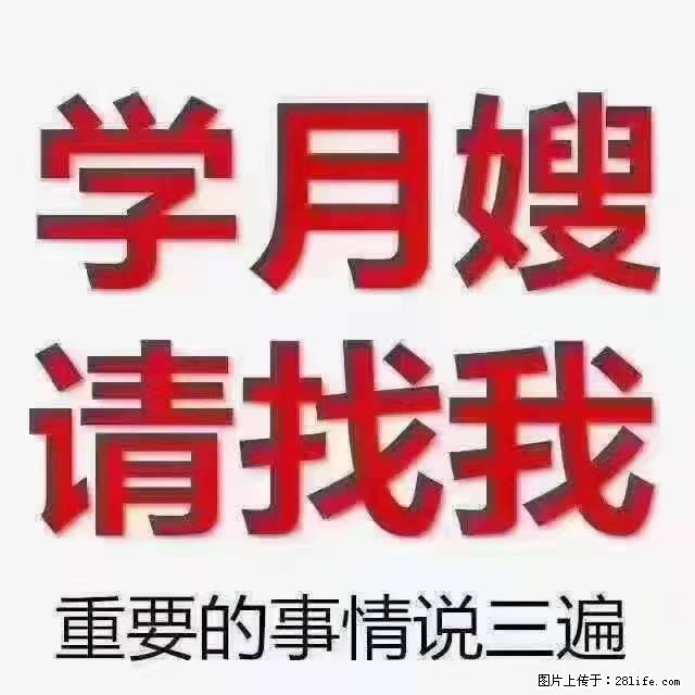 【招聘】月嫂，上海徐汇区 - 职场交流 - 玉树生活社区 - 玉树28生活网 ys.28life.com