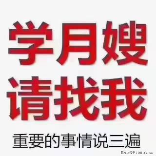 【招聘】月嫂，上海徐汇区 - 玉树28生活网 ys.28life.com