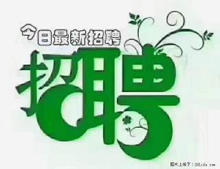 上海青浦区招仓管 - 玉树28生活网 ys.28life.com