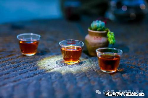 时间果百年古树2025年春红茶 - 购物交流 - 玉树生活社区 - 玉树28生活网 ys.28life.com