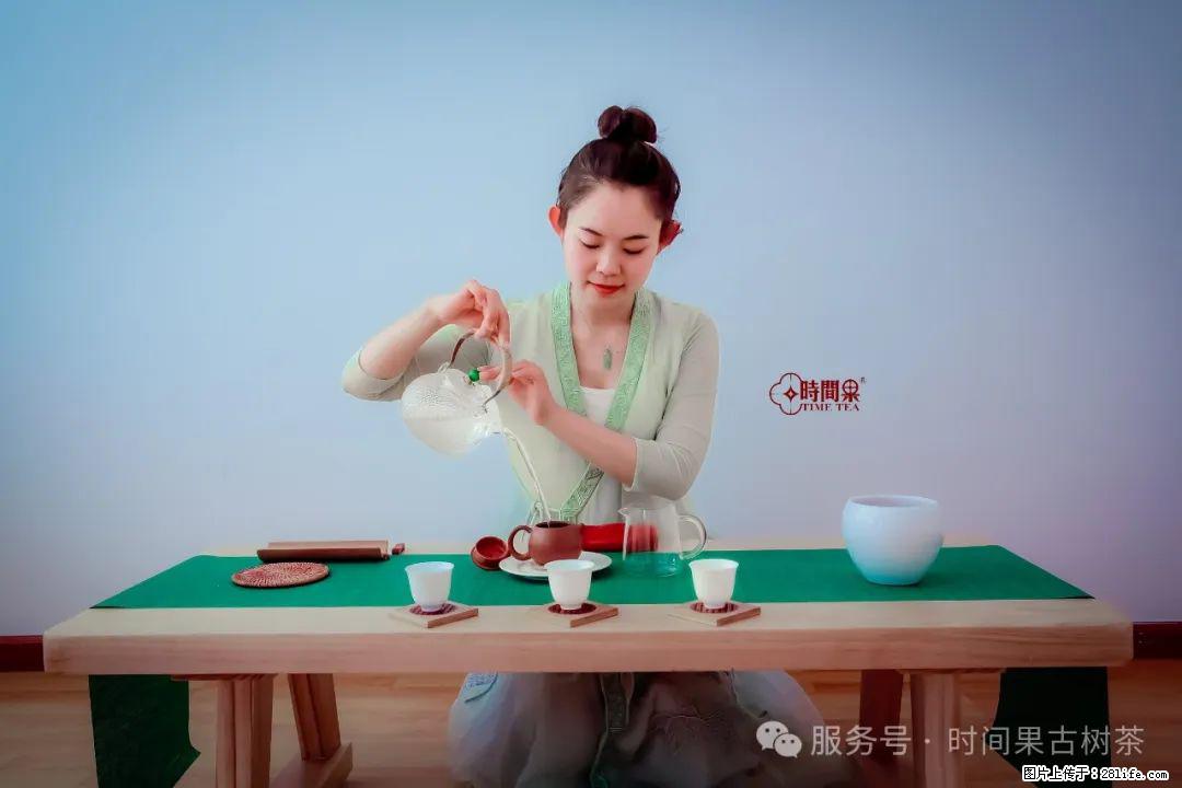 时间果百年古树龙珠普洱生茶 - 购物交流 - 玉树生活社区 - 玉树28生活网 ys.28life.com