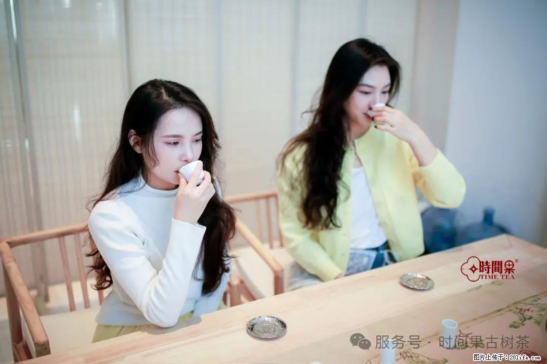 时间果百年古树龙珠普洱生茶 - 购物交流 - 玉树生活社区 - 玉树28生活网 ys.28life.com