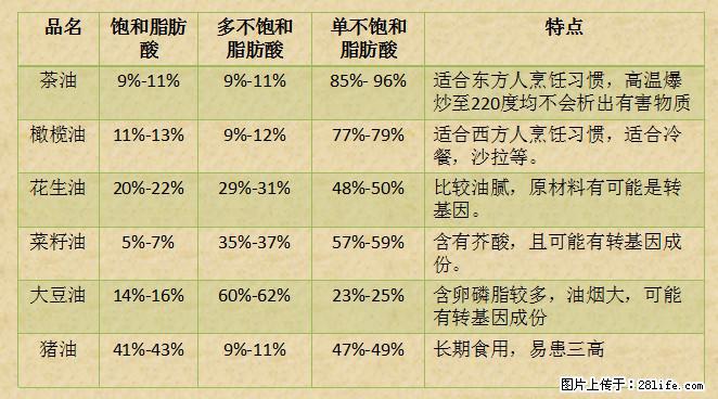 揭秘茶油的5大核心营养成分!被称为人体健康的“守护盾”! - 玉树生活资讯 - 玉树28生活网 ys.28life.com