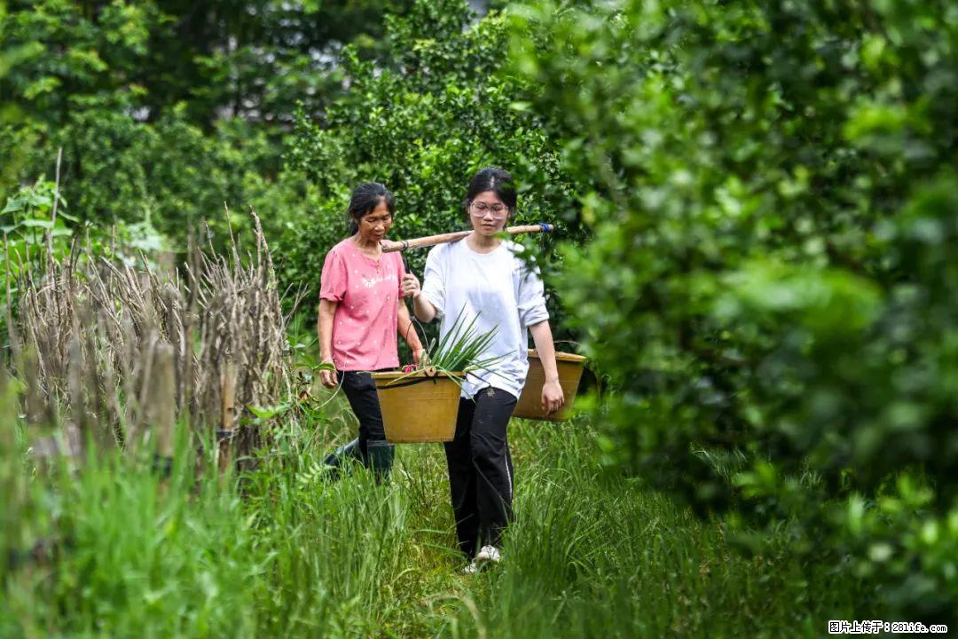 全网追的“扁担女孩”，找了一份暑假工，时薪12元 - 玉树生活资讯 - 玉树28生活网 ys.28life.com